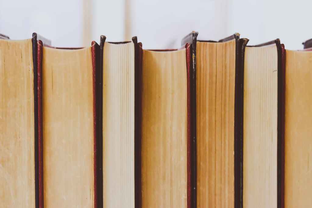 Five books I want to read before 2024